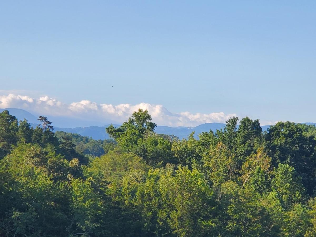 Huny Bear Lodge Pigeon Forge Dış mekan fotoğraf