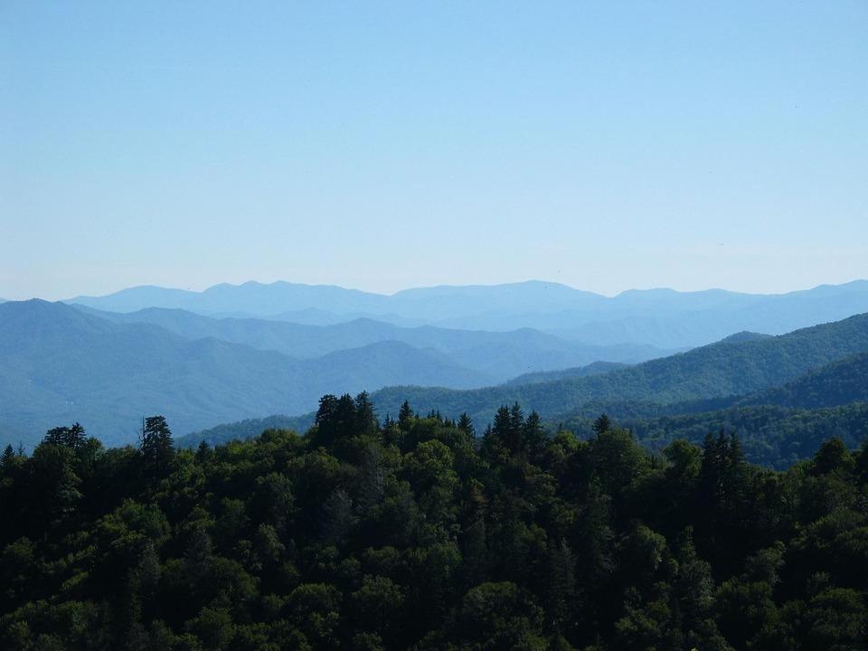 Huny Bear Lodge Pigeon Forge Dış mekan fotoğraf